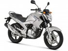 Yamaha YS 250 Fazer BlueFlex